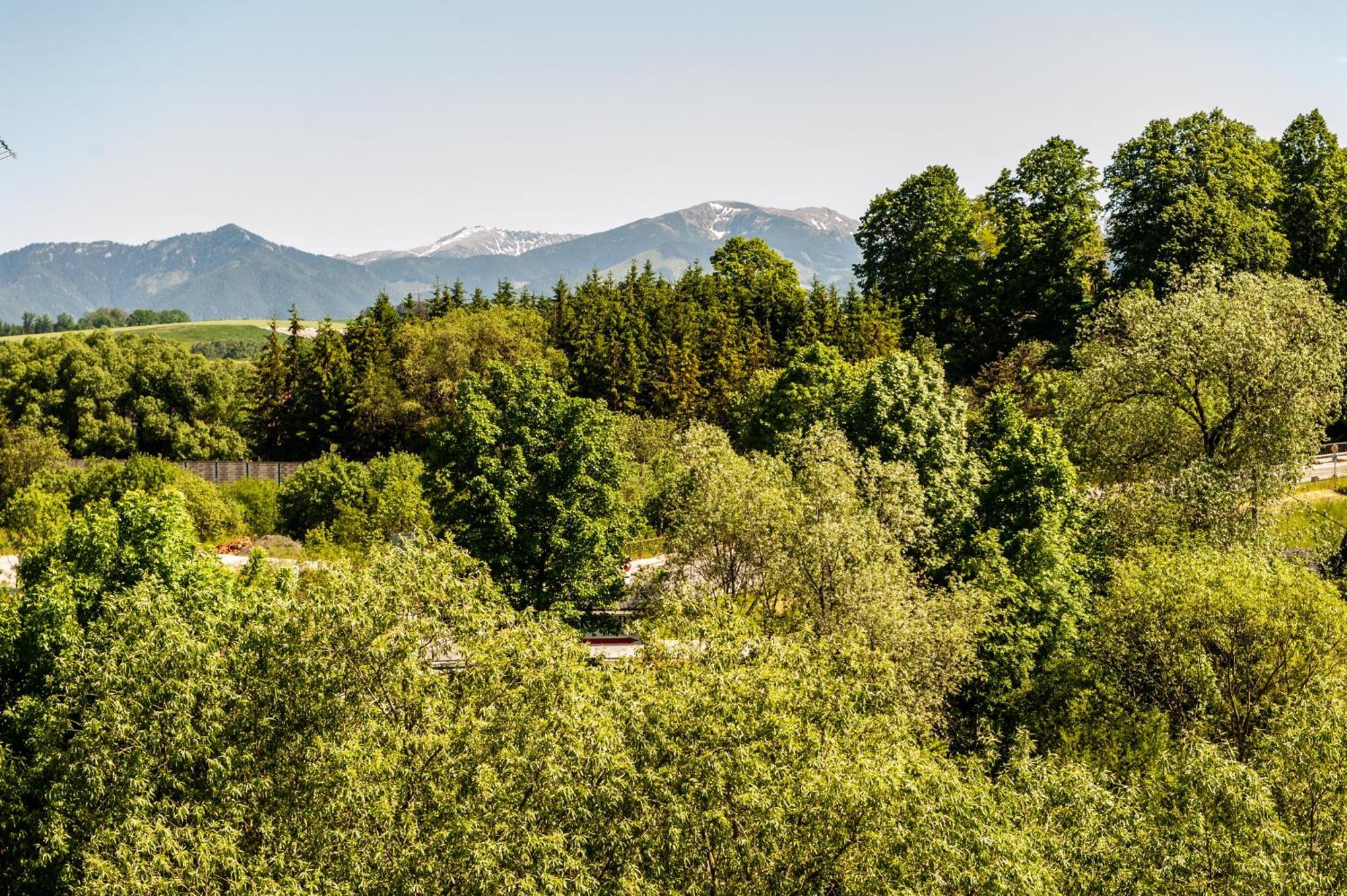 Apartmany Besen Bešeňová Exterior foto